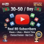 Youtube Subscribers | BD Real 30-50/Day | Views + Like + Watch time-2534 - Image 2